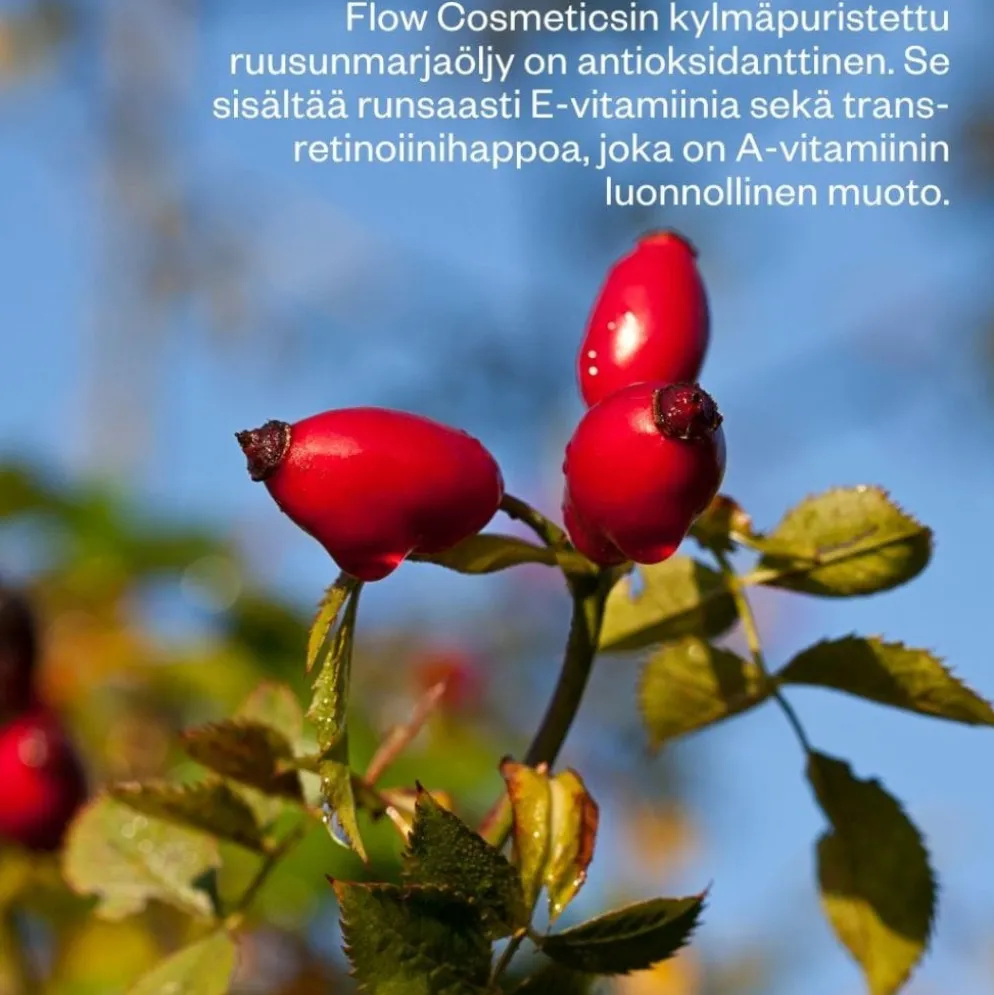 Flow Cosmetics Rosehip Intensive Treatment Oil ruusunmarjaöljy 30ml