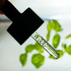 Kasvoöljy Usva Rainforest Omega Rich Oil Serum 30ml