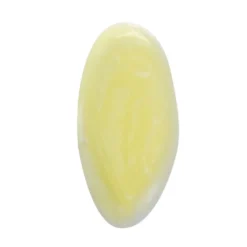 Seerumi Esse Probiotic Serum+